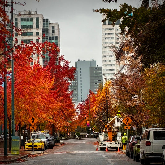 I Built The Wings, Let’s See If They Fly! - Urban Muse & Sultry Hues