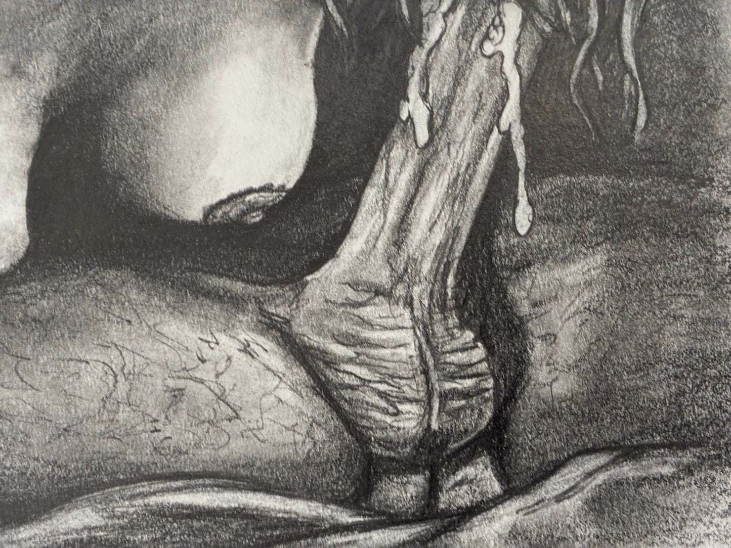 Juicy Blow Job Erotic Pencil Drawing – 8x10