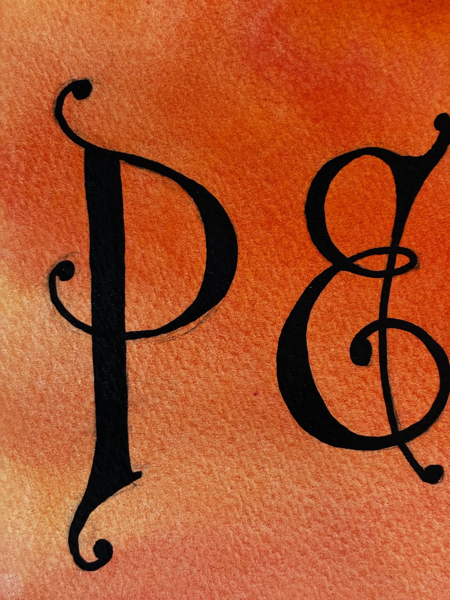Peachy Lace Peach Watercolor & Ink Painting – 11x14 - Urban Muse & Sultry Hues